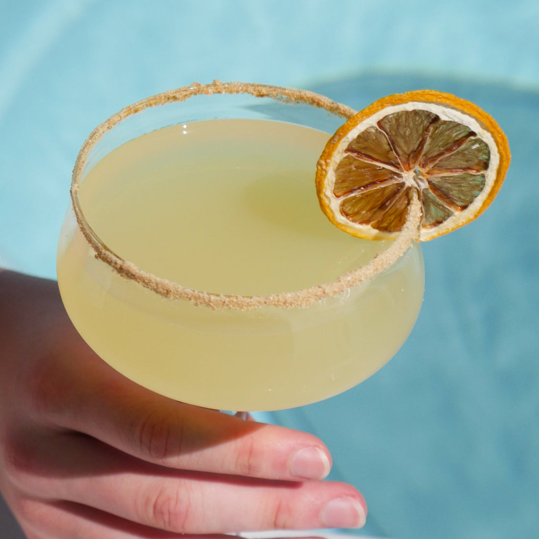 All-Natural Dehydrated Garnishes Have Arrived at Bar Jus — Just in Time for Summer!