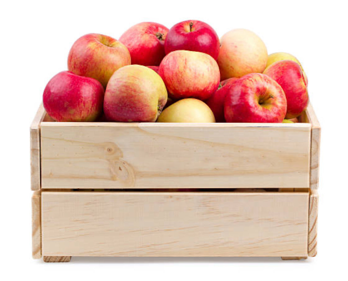 Nova Scotian Red Apple (Fruit)