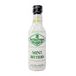 Fee Brothers Mint Bitters 150mL