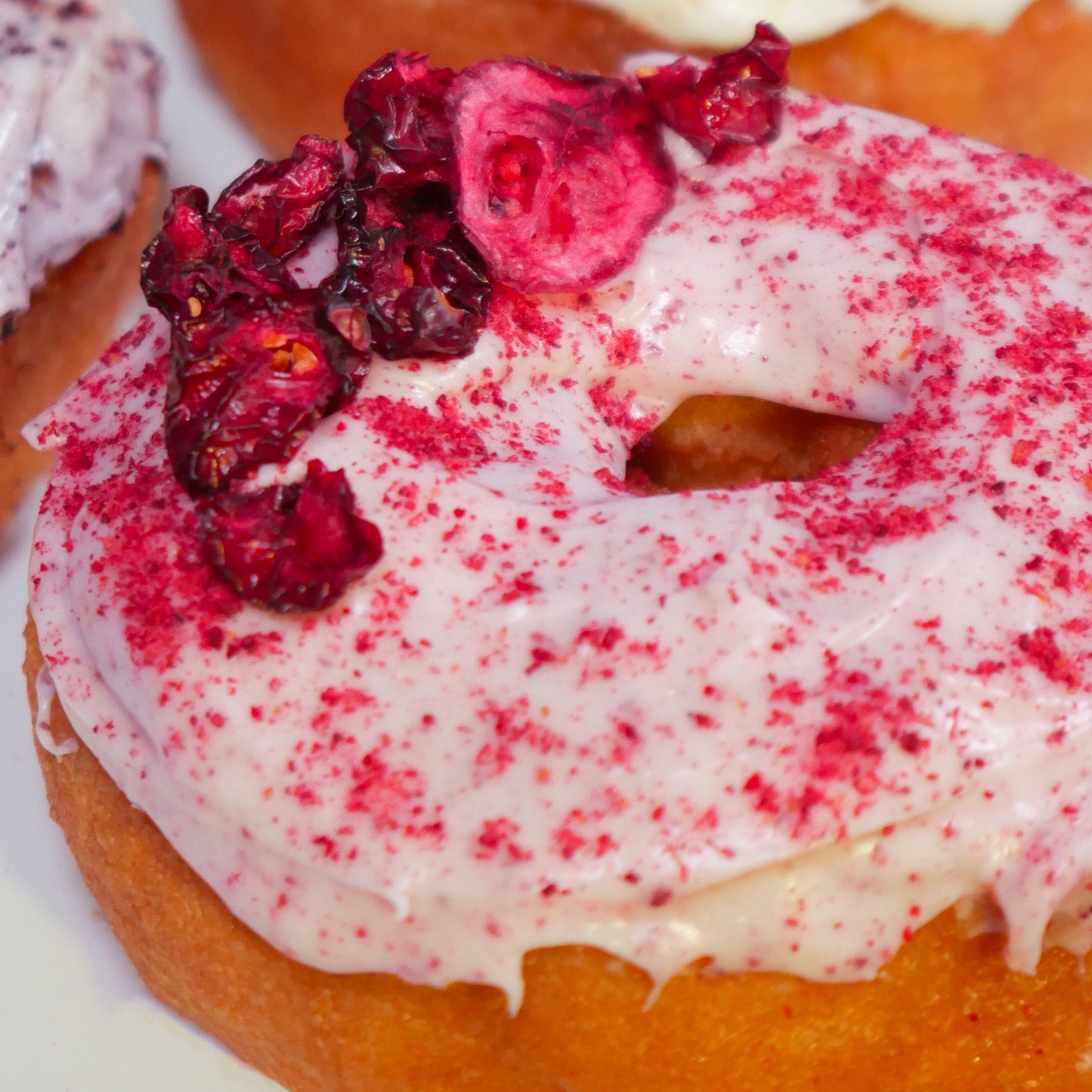 Anhydra Dehydrated Cranberry Powder