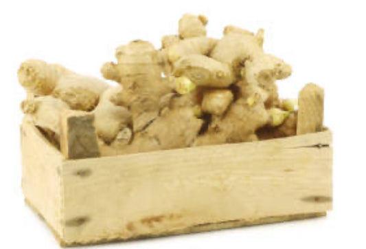 Ginger (root)
