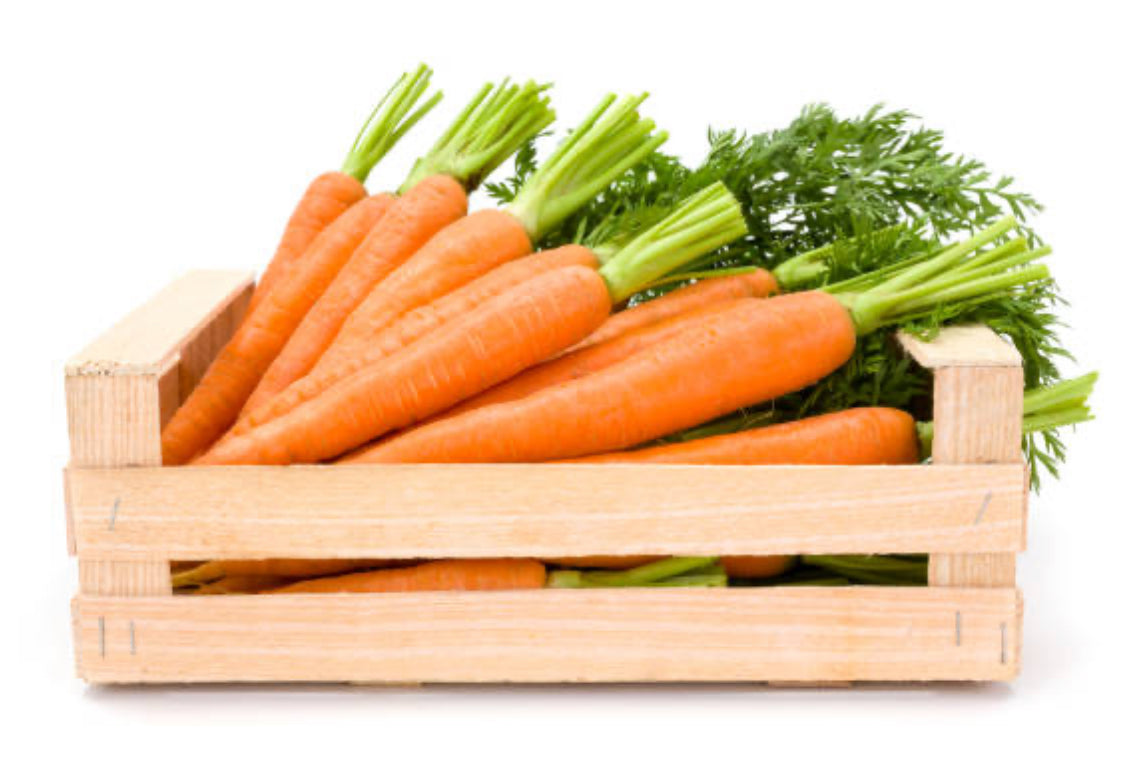Carrot, Jumbo (vegetable)