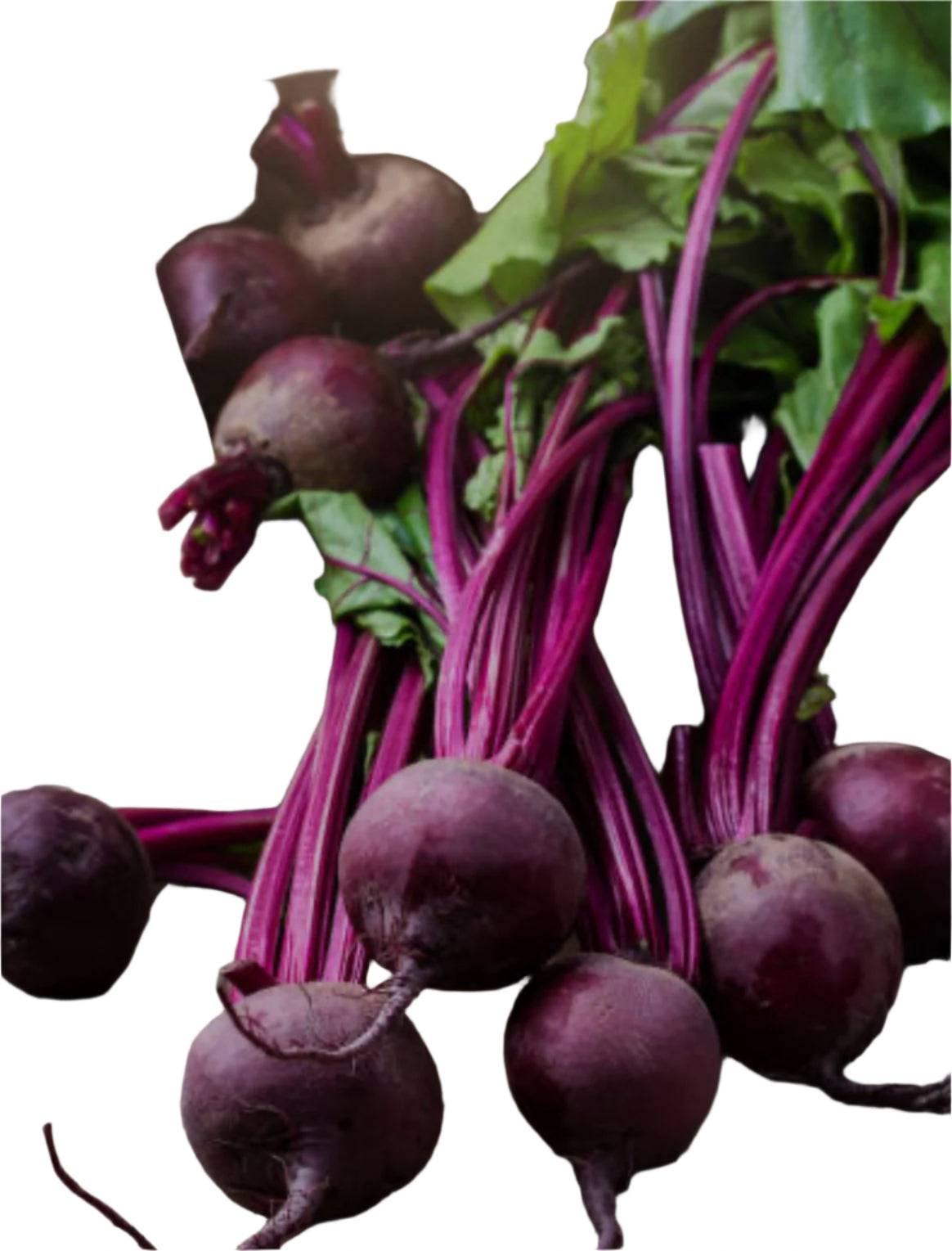Beetroot, Red (vegetable)