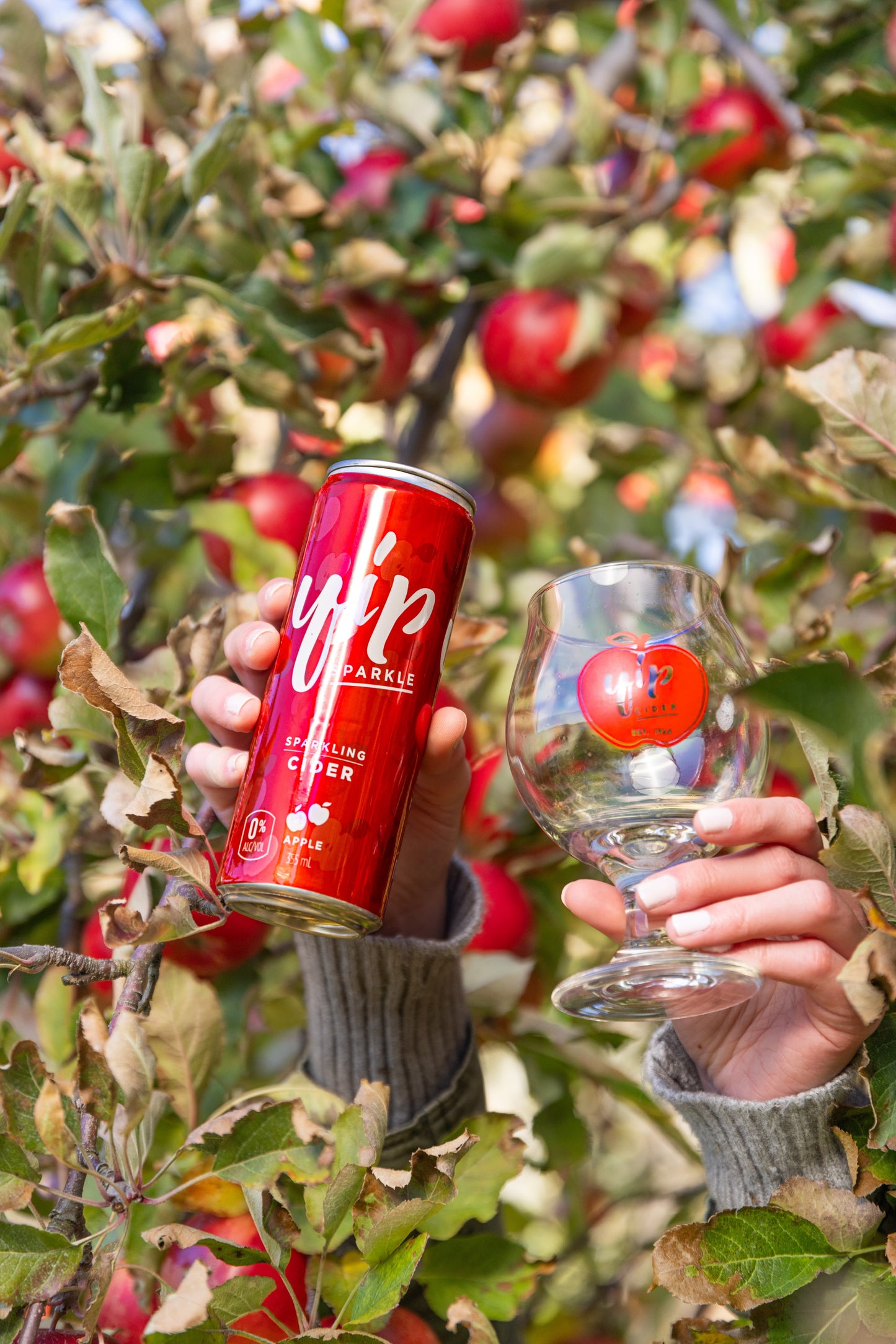YIP Sparkle Apple Cider