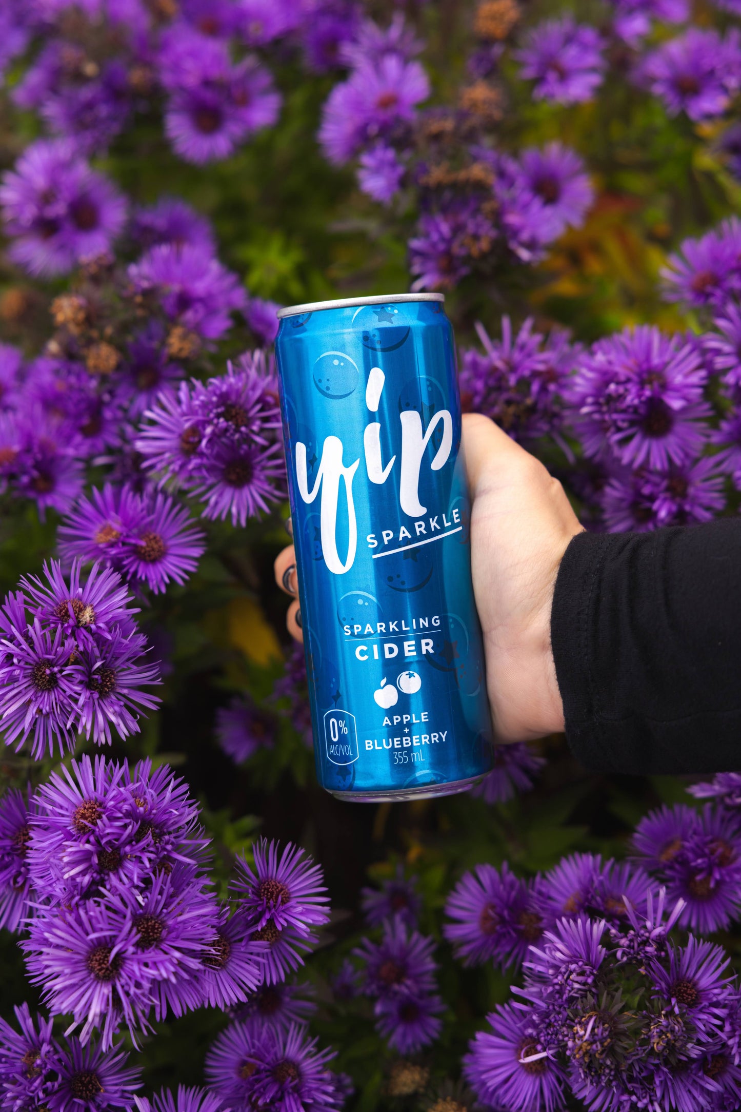 YIP Sparkle Blueberry Cider