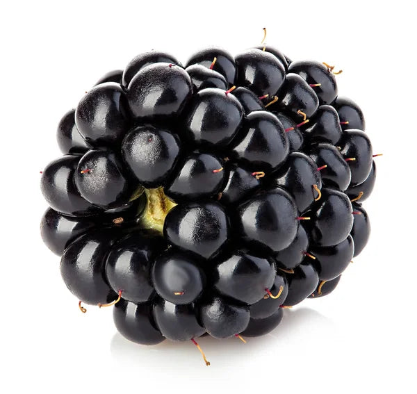 Blackberry (juice)