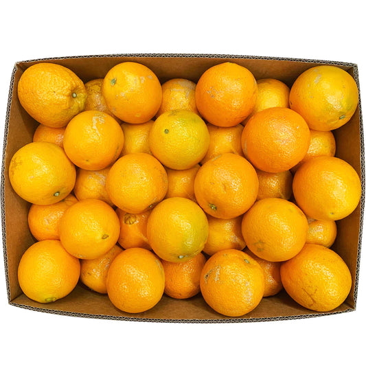 Orange, Navel 113ct (Fruit)