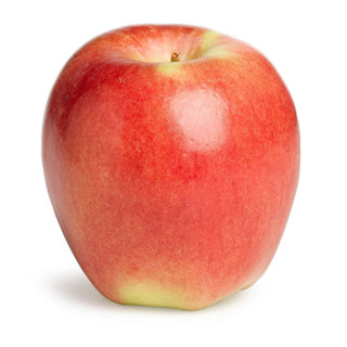 Nova Scotian Red Apple (Fruit)